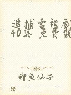 追捕电视剧 共40集 免费观看
