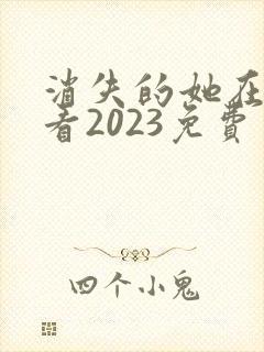 消失的她在线观看2023免费封面