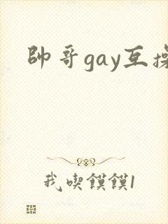 帅哥gay互操
