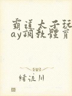 霸道太子玩奴gay调教体育生