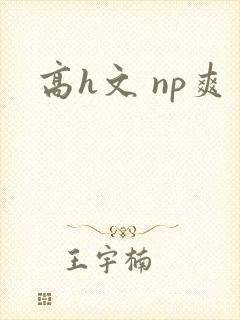 高h文 np爽