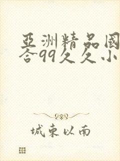 亚洲精品国产综合99久久小说