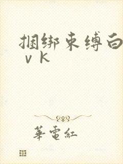 捆绑束缚白丝丨ⅴk