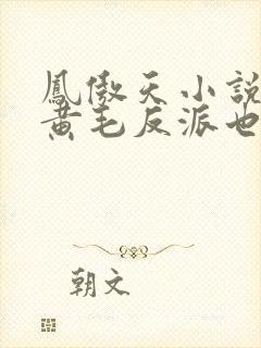 凤傲天小说里的黄毛反派也想要幸福生活