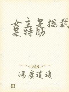 女主是总裁男主是特助