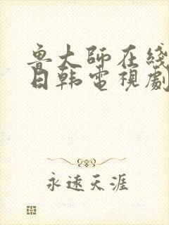鲁大师在线播放日韩电视剧免费观看