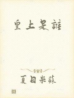 皇上是谁