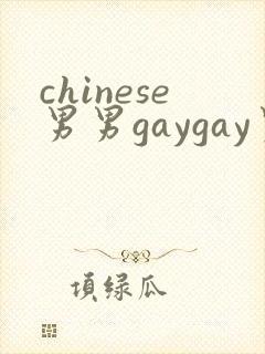 chinese男男gaygay男男