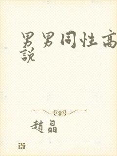 男男同性高潮小说封面