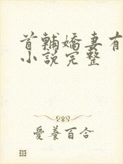 首辅娇妻有空间小说完整封面