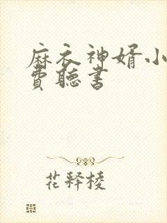 麻衣神婿小说免费听书