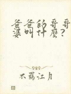 爸爸的哥哥的老婆叫什么?