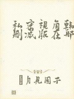 私密视角韩漫无删减版在哪看