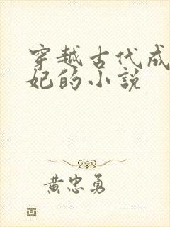 穿越古代成为王妃的小说封面