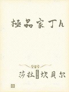 极品家丁h封面