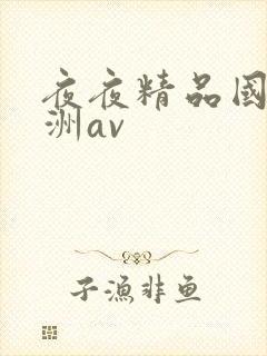 夜夜精品国产亚洲av