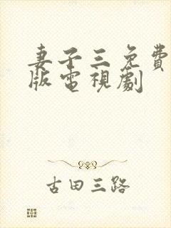 妻子三免费完整版电视剧