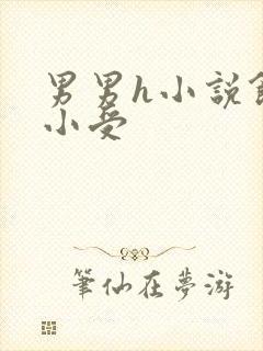男男h小说饥渴小受封面