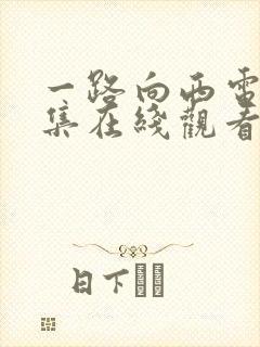 一路向西电影全集在线观看