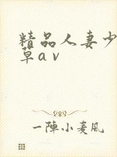 精品人妻少妇嫩草a v