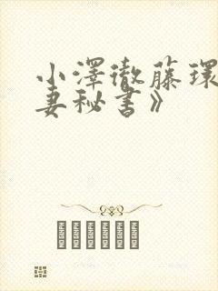 小泽彻藤环奈人妻秘书》