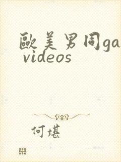 欧美男同gay videos