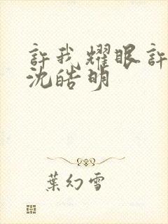 许我耀眼许妍和沈皓明