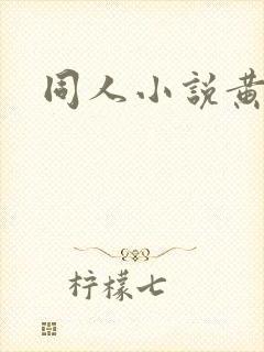 同人小说黄文