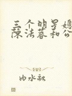 三个明星媳妇儿陈法蓉和公公小说