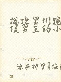 总攻男们跪着伺候男主的小说