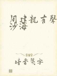 周建龙有声小说沙海封面