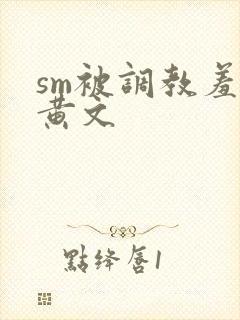 sm被调教羞辱黄文封面