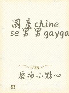 国产chinese男男gaygay网址