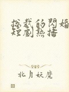 总裁的闪婚甜妻短剧热播封面