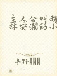 主人公叫赵青,林安澜的小说