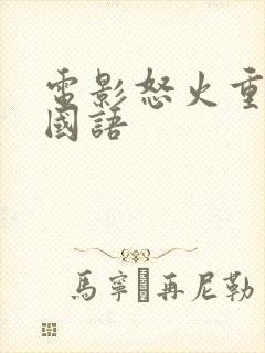 电影怒火重案2国语