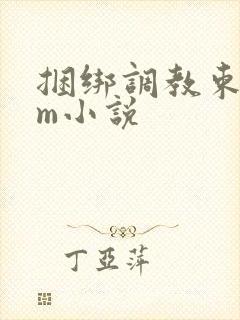 捆绑调教束缚sm小说封面