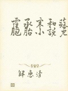 霍承寒和苏沅双胞胎小说免费阅读封面