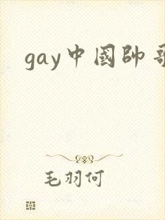 gay中国帅哥