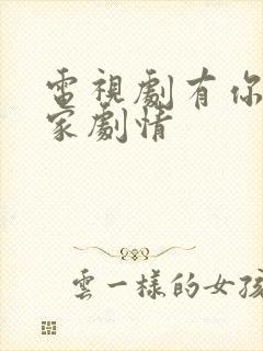 电视剧有你才有家剧情封面