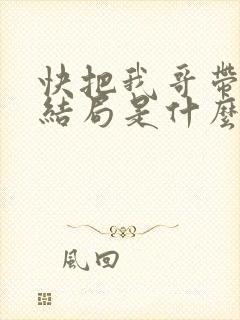 快把我哥带走大结局是什么
