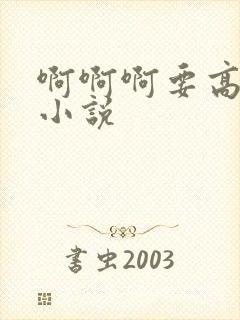 啊啊啊要高潮了小说