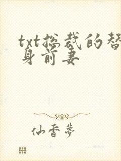 txt总裁的替身前妻