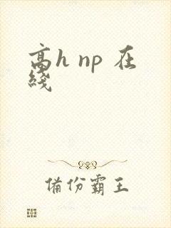 高h np 在线