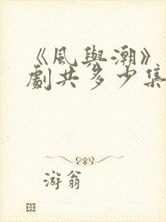 《风与潮》电视剧共多少集