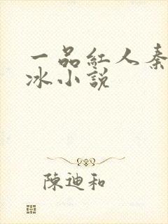 一品红人秦阳薛冰小说