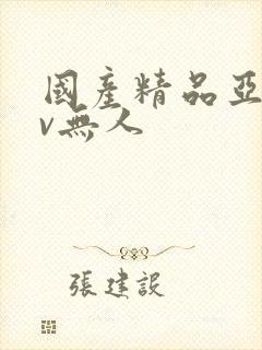 国产精品亚洲av无人