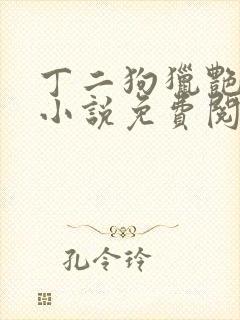 丁二狗猎艳人生小说免费阅读