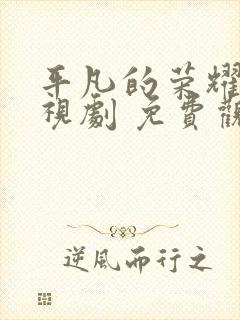 平凡的荣耀 电视剧 免费观看封面