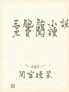 三胞胎小说全文免费阅读封面